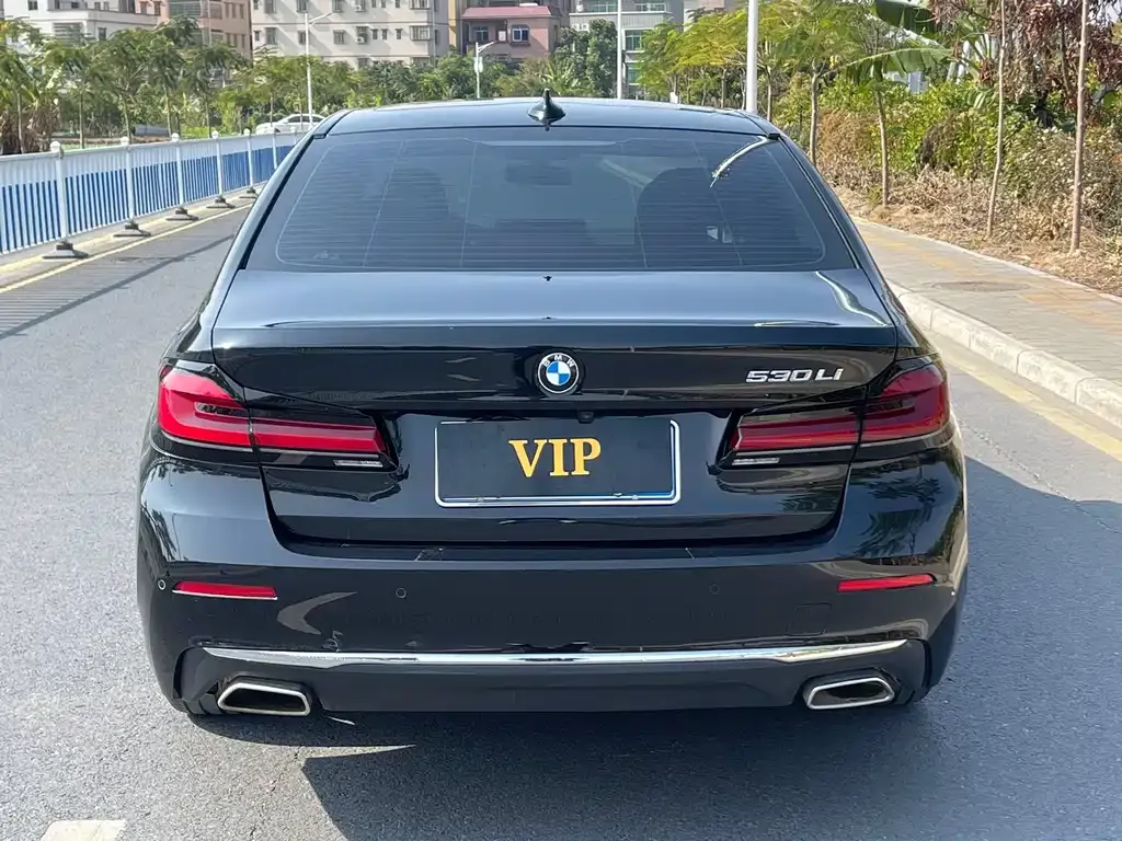 BMW 5 Series 2023 из CN, фото 5