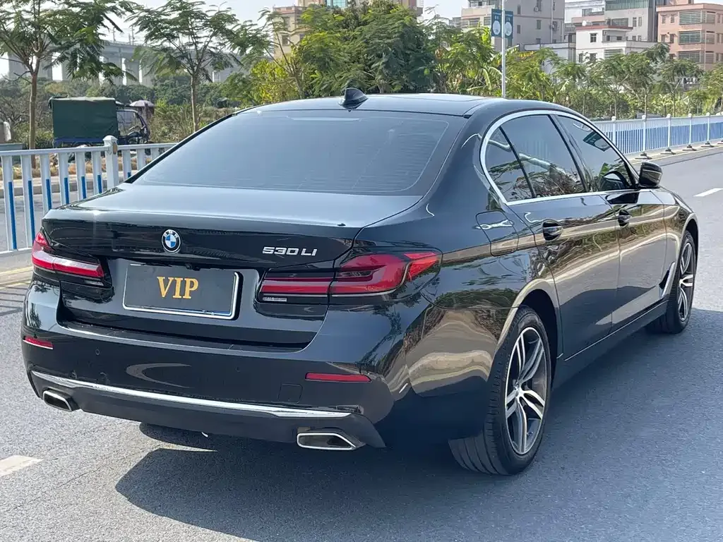 BMW 5 Series 2023 из CN, фото 8