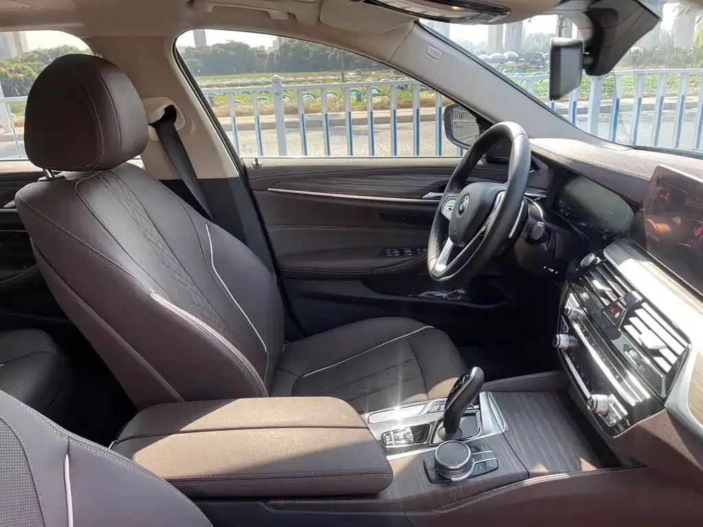 BMW 5 Series 2023 из CN, фото 4