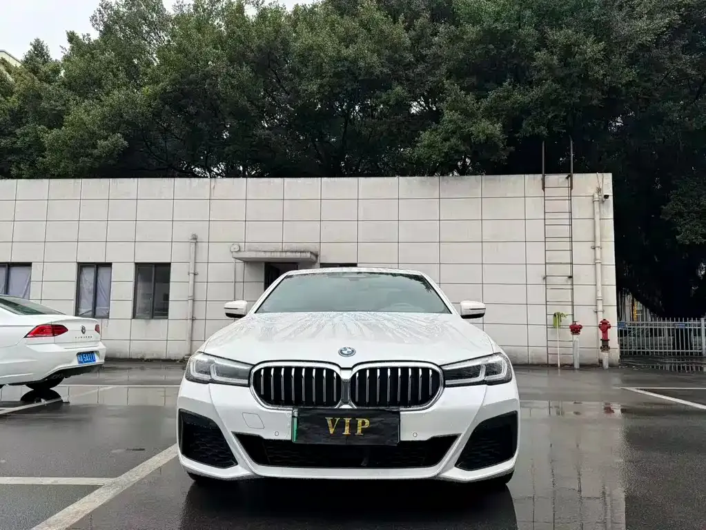 BMW 5 Series New Energy — фото 8