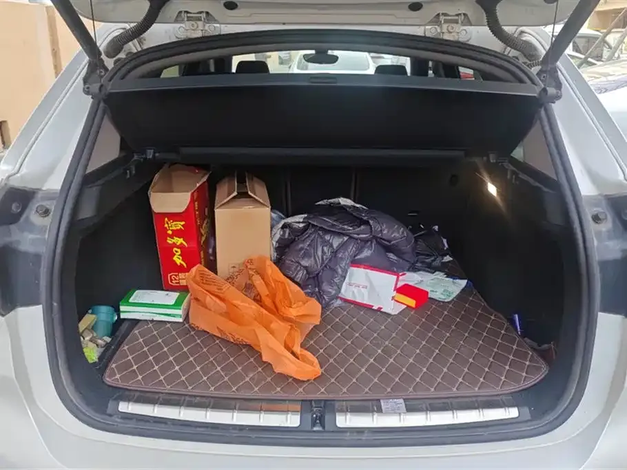 BMW X1 2021 из CN, фото 9