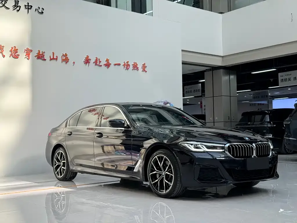 BMW 5 Series 2023 из CN, фото 1