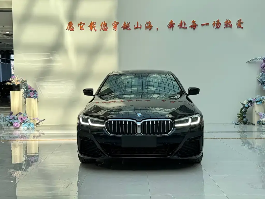 BMW 5 Series 2023 из CN, фото 9