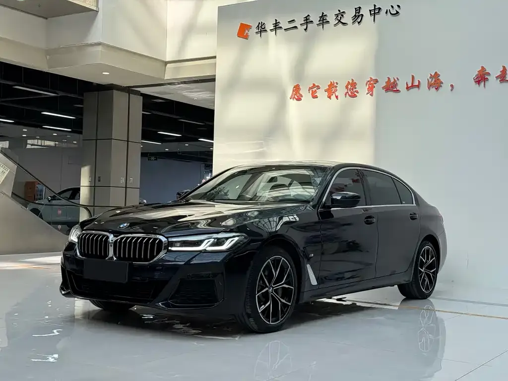 BMW 5 Series 2023 из CN, фото 4