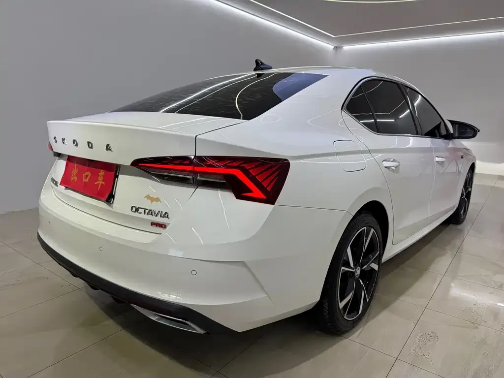 Skoda Octavia 2021 из CN, фото 8