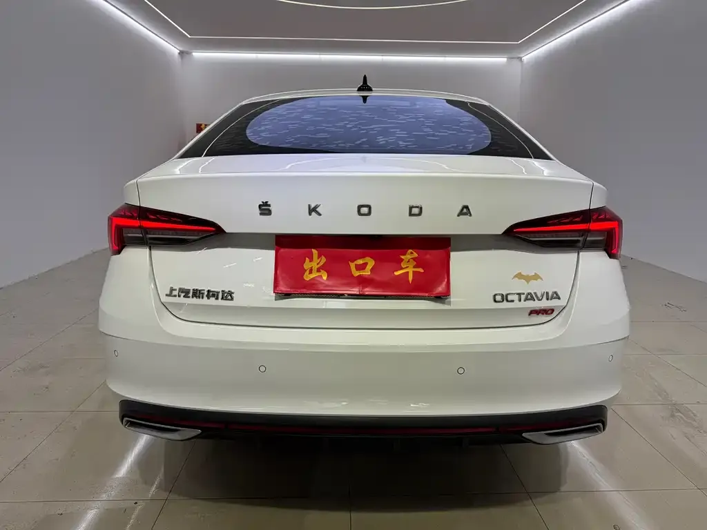 Skoda Octavia 2021 из CN, фото 4