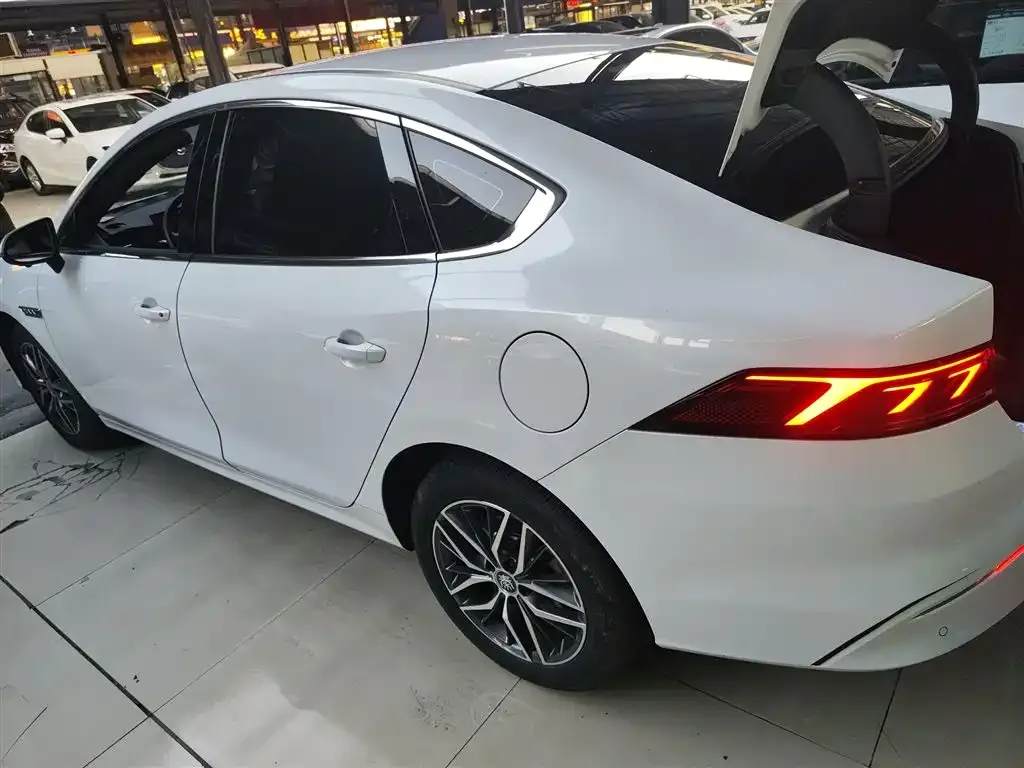 BYD Qin PLUS — фото 8