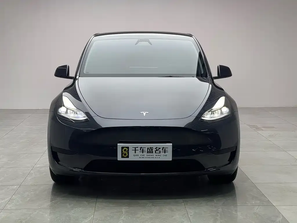 Tesla Model Y — фото 2
