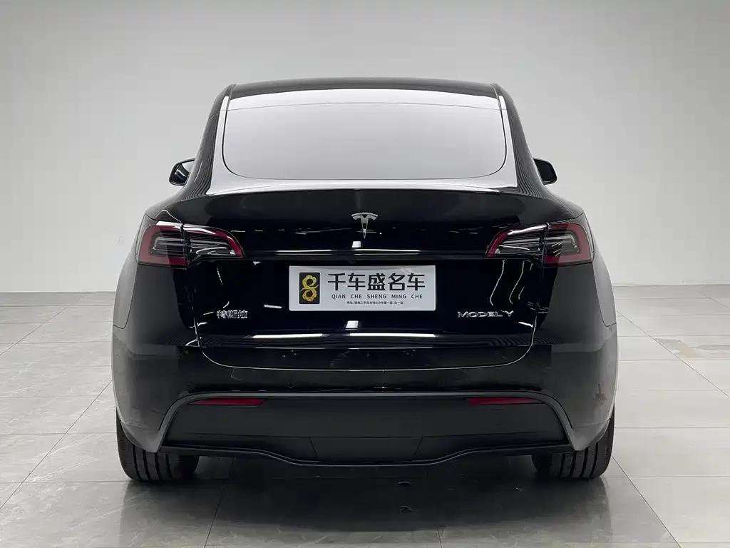 Tesla Model Y — фото 3