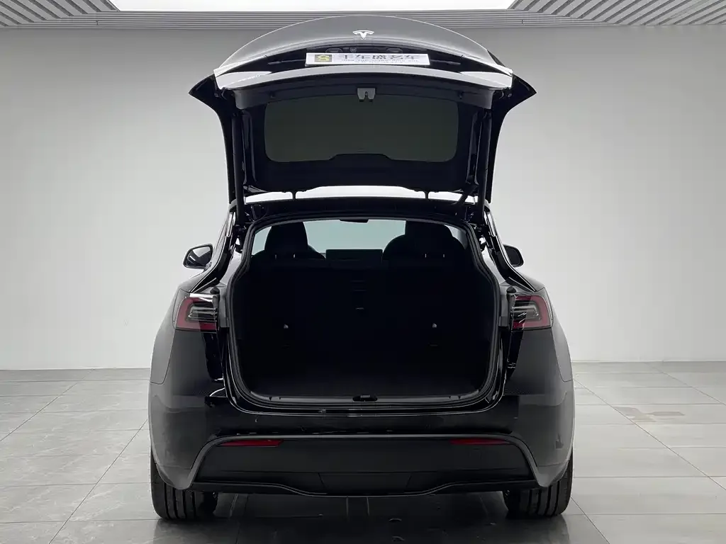 Tesla Model Y — фото 5