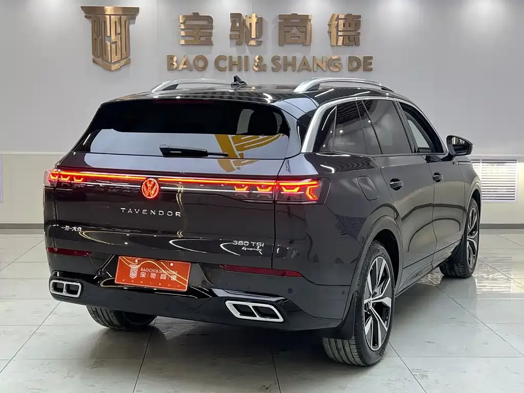 Volkswagen Tavendor 2022 из CN, фото 4