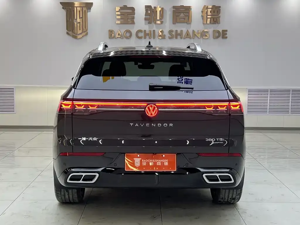 Volkswagen Tavendor 2022 из CN, фото 5