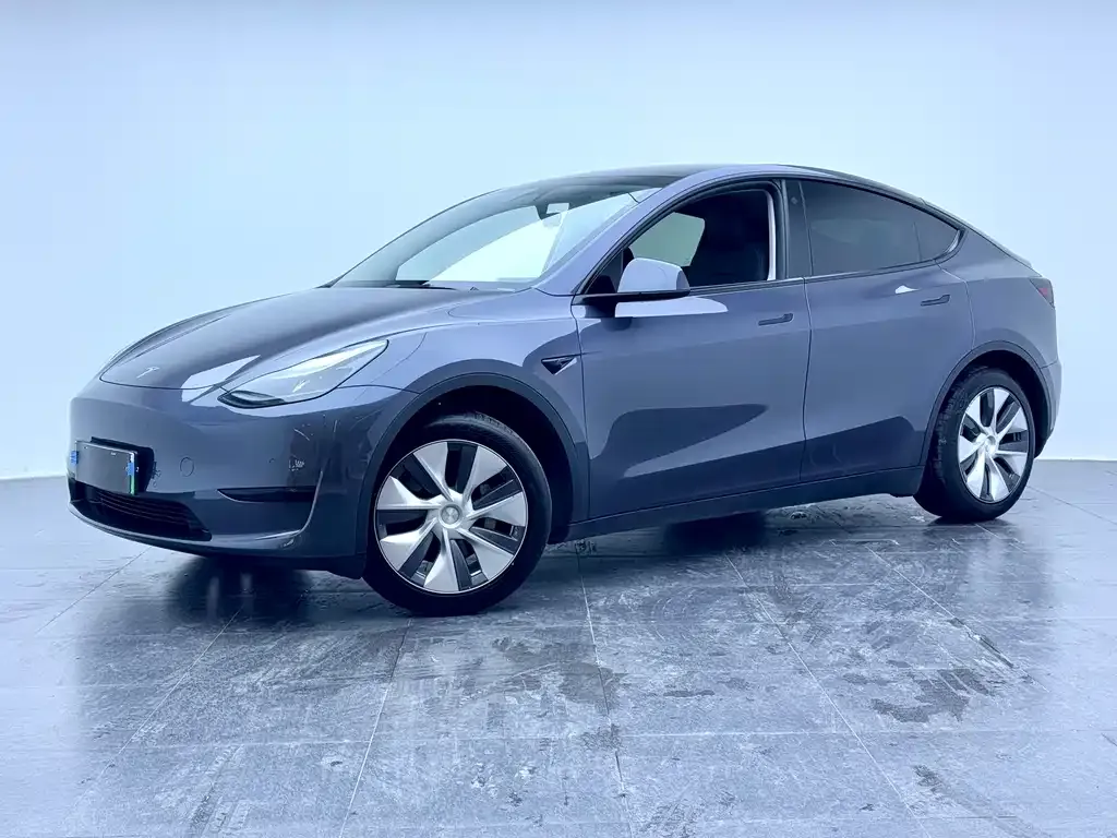 Tesla Model Y 2023 из CN, фото 1