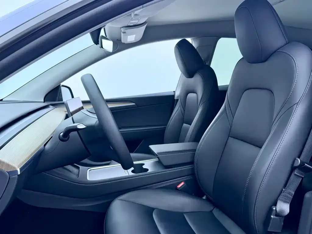 Tesla Model Y 2023 из CN, фото 5