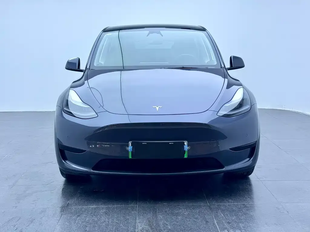 Tesla Model Y 2023 из CN, фото 10