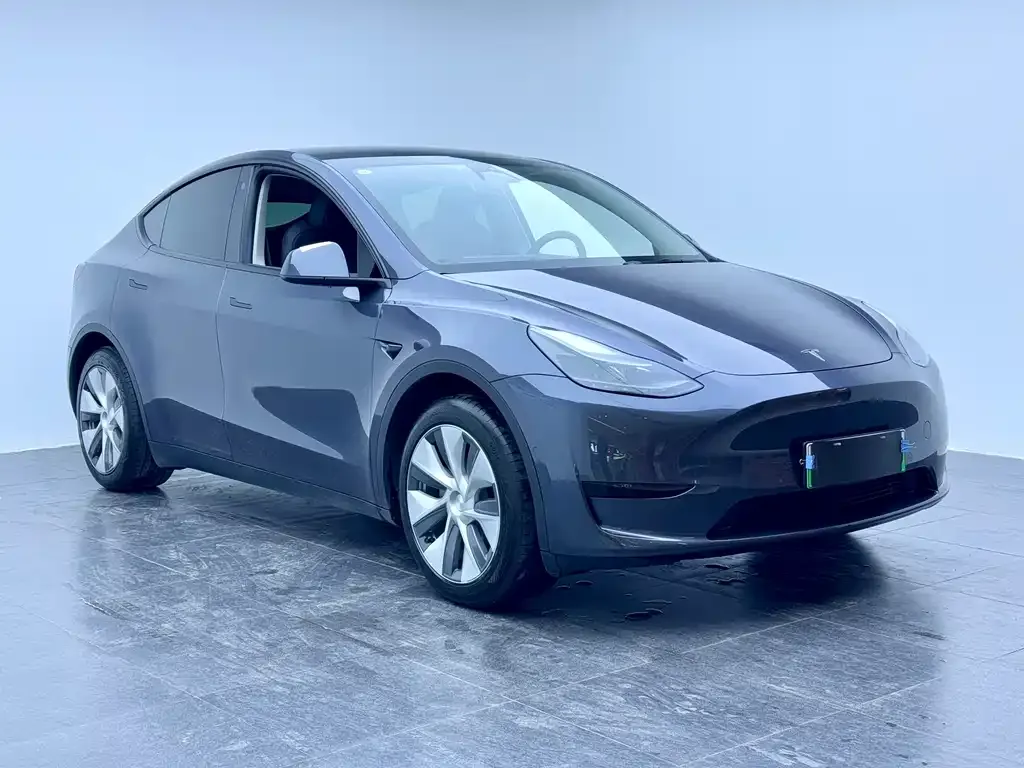 Tesla Model Y 2023 из CN, фото 4