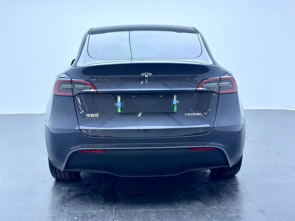 Tesla Model Y 2023 из CN, фото 2