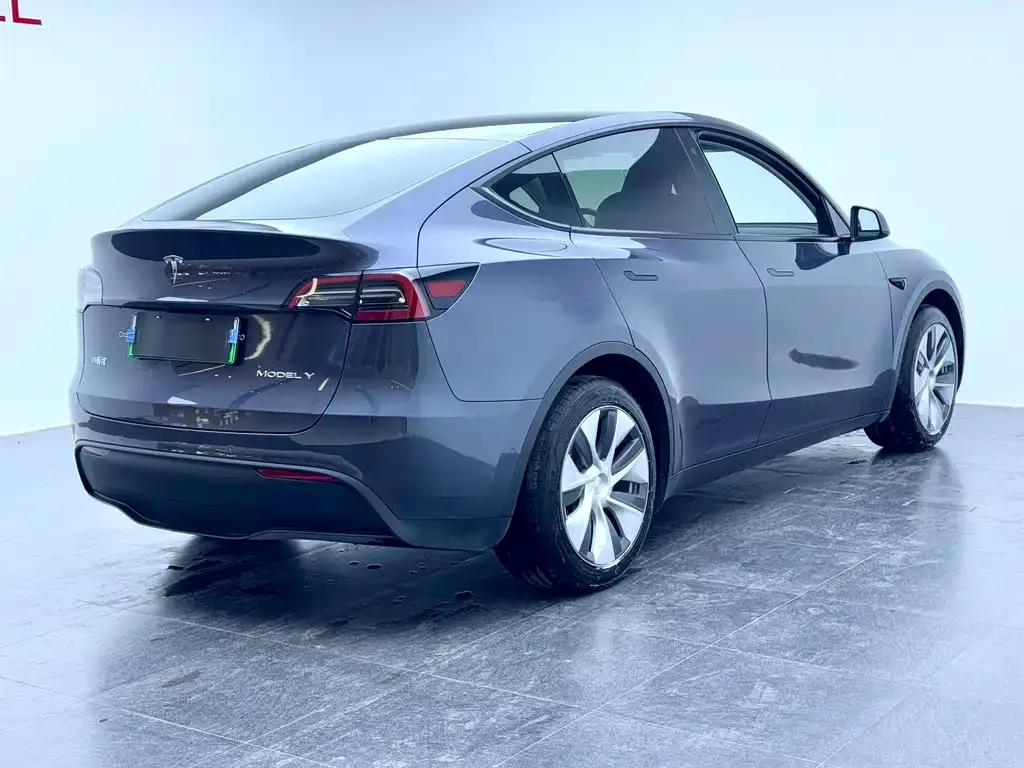 Tesla Model Y 2023 из CN, фото 6