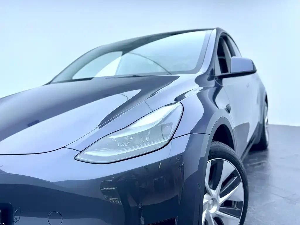 Tesla Model Y 2023 из CN, фото 3