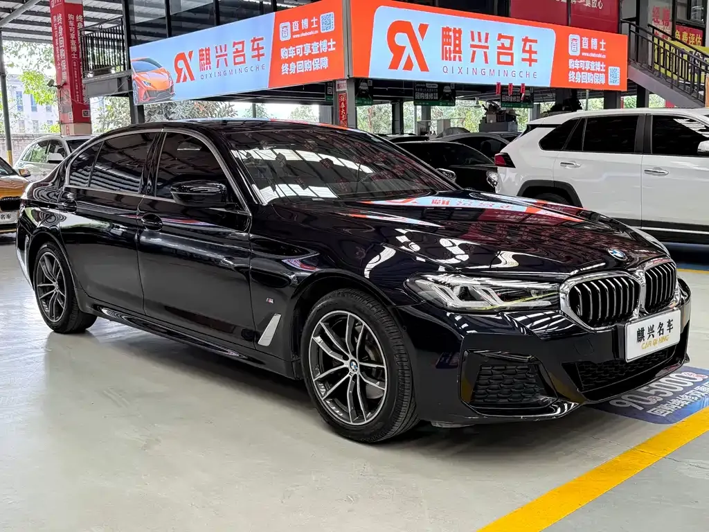 BMW 5 Series 2021 из CN, фото 7