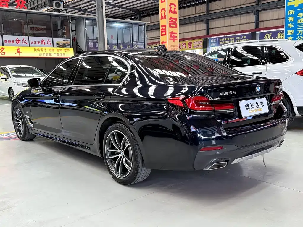 BMW 5 Series 2021 из CN, фото 8