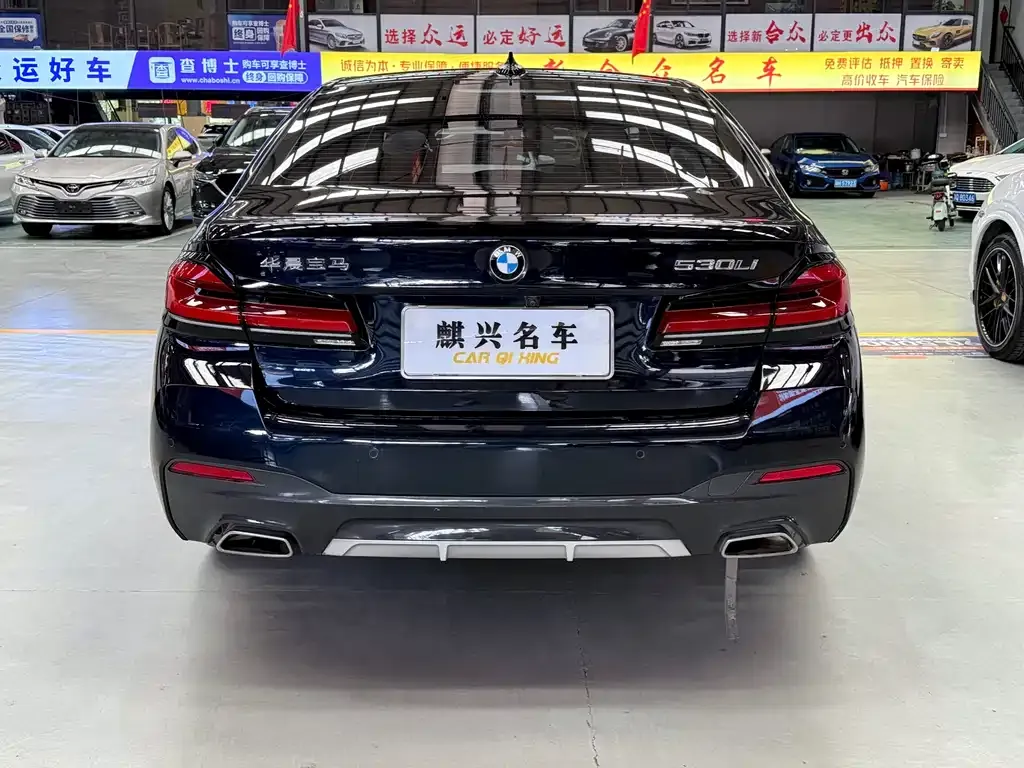 BMW 5 Series 2021 из CN, фото 4