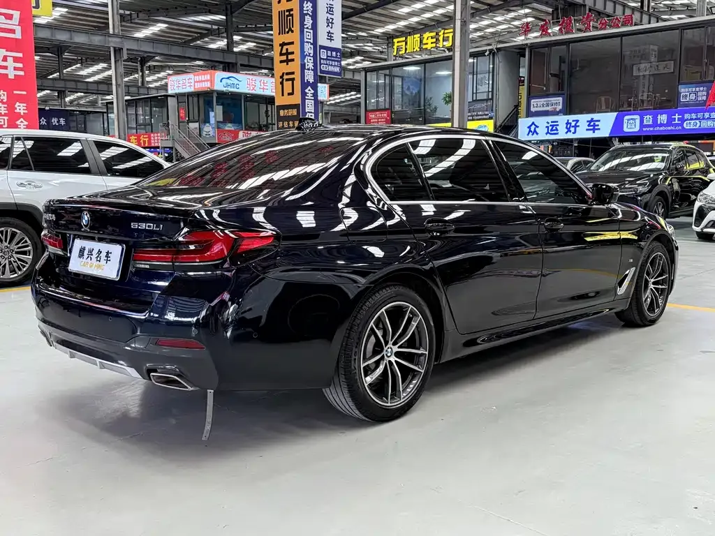 BMW 5 Series 2021 из CN, фото 10