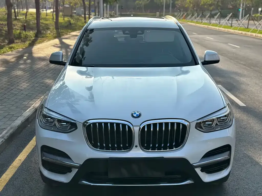 BMW X3 2021 из CN, фото 4