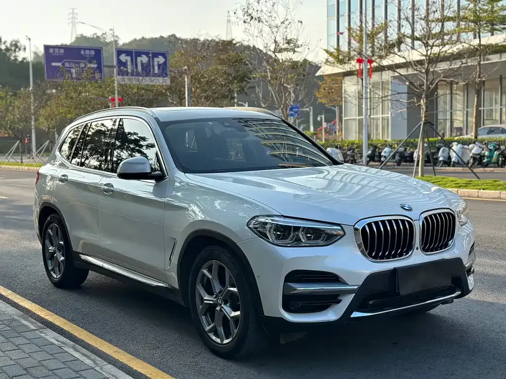 BMW X3 2021 из CN, фото 6
