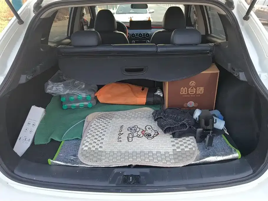 Nissan Qashqai 2025 из CN, фото 4
