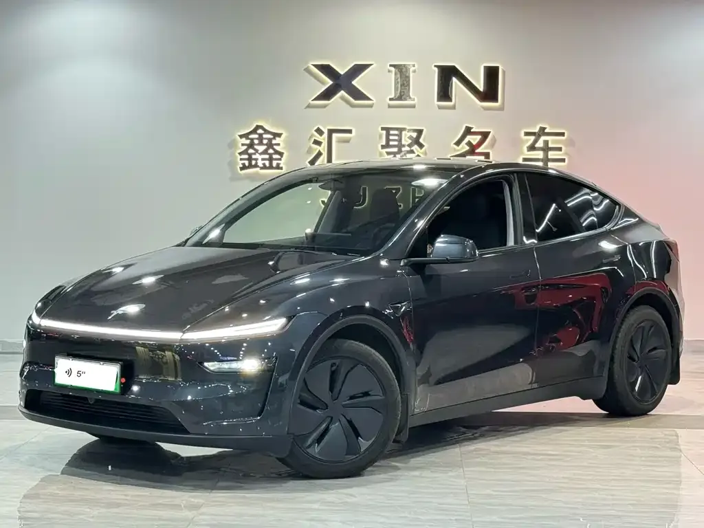 Tesla Model Y 2025 из CN, фото 5