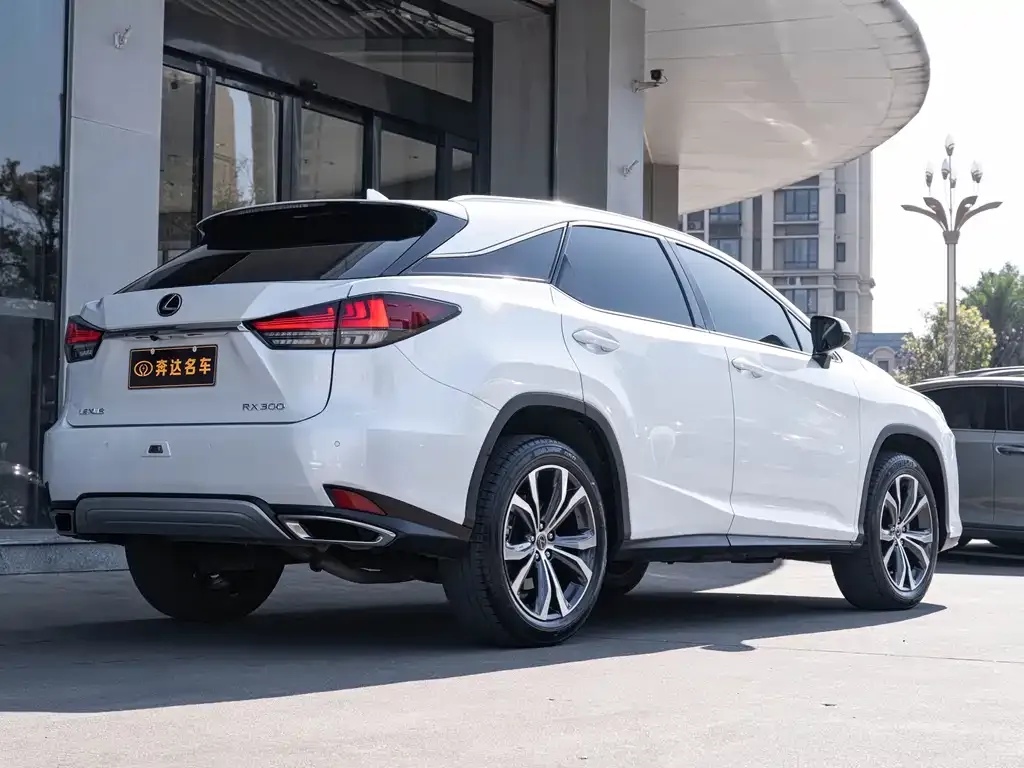 Lexus RX 2022 из CN, фото 4