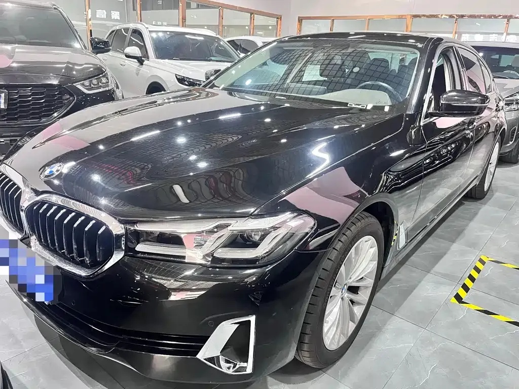 BMW 5 Series 2021 из CN, фото 1