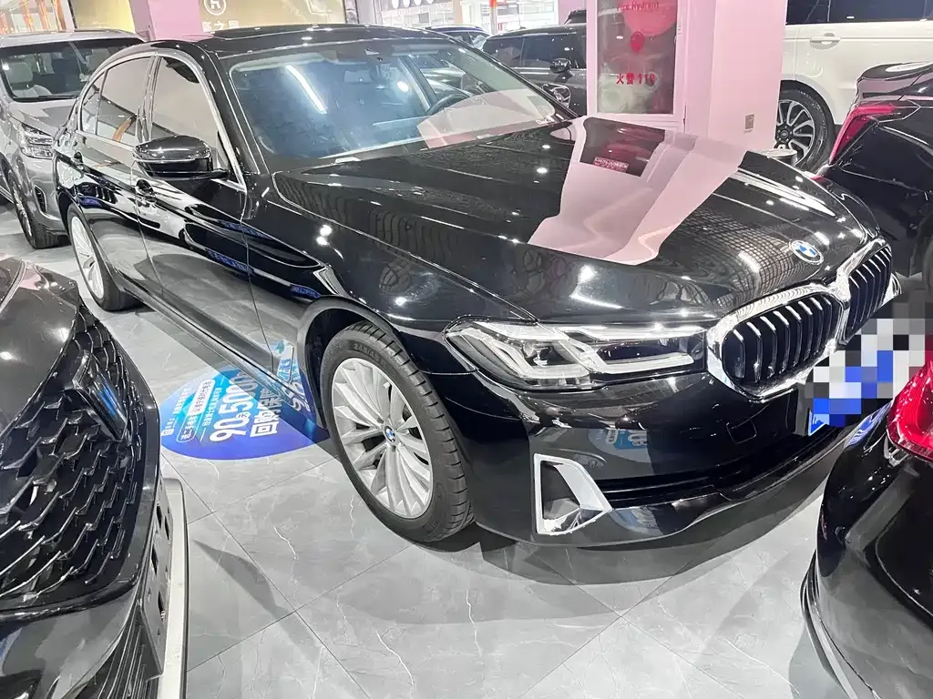 BMW 5 Series 2021 из CN, фото 10