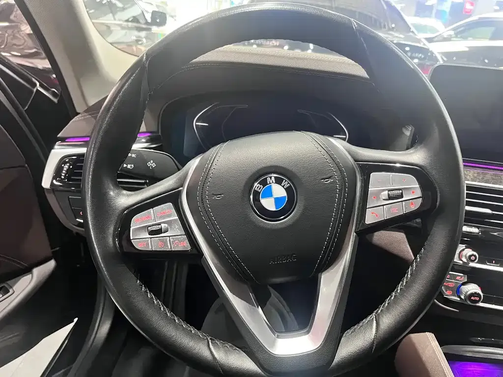 BMW 5 Series 2021 из CN, фото 4