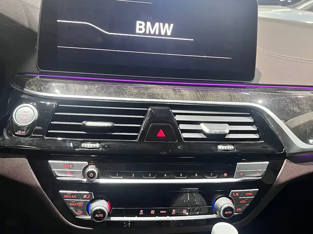 BMW 5 Series 2021 из CN, фото 3