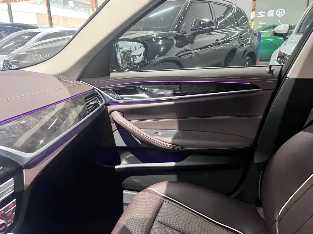 BMW 5 Series 2021 из CN, фото 8