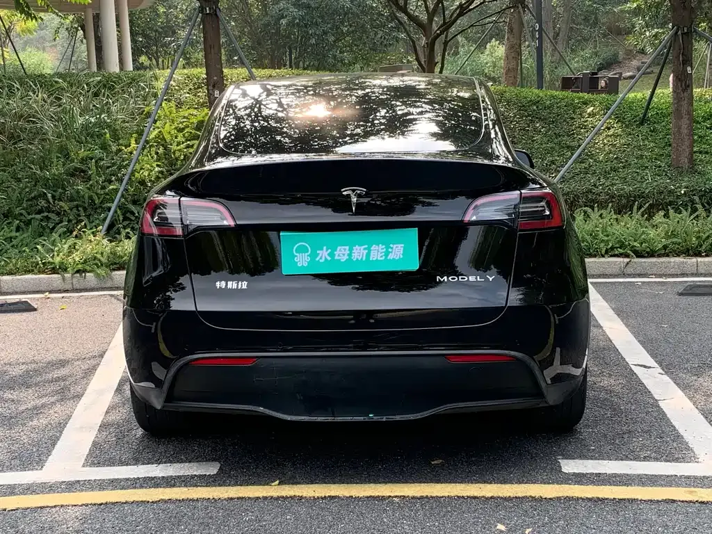 Tesla Model Y 2024 из CN, фото 6