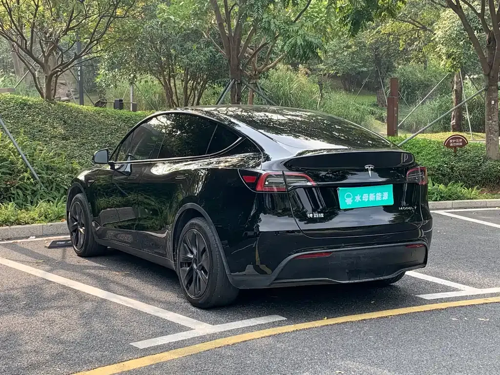 Tesla Model Y 2024 из CN, фото 8