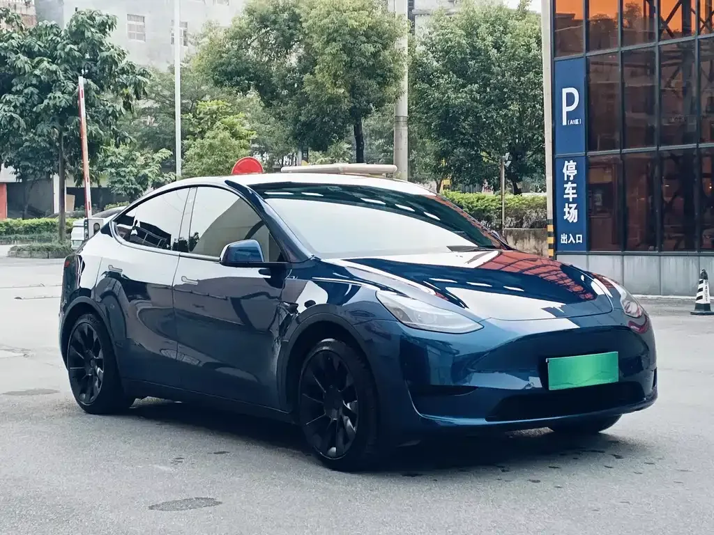 Tesla Model Y — фото 3