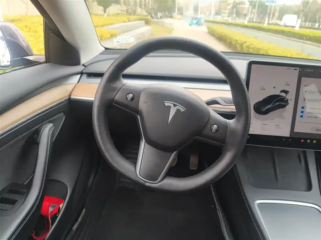 Tesla Model 3 2022 из CN, фото 8