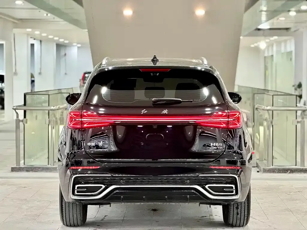 Hongqi HS5 2024 из CN, фото 9