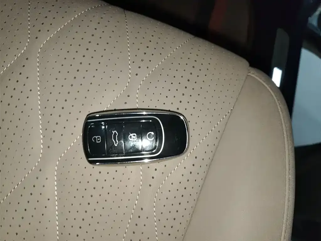 Chery Tiggo 8 PLUS C-DM 2024 из CN, фото 10