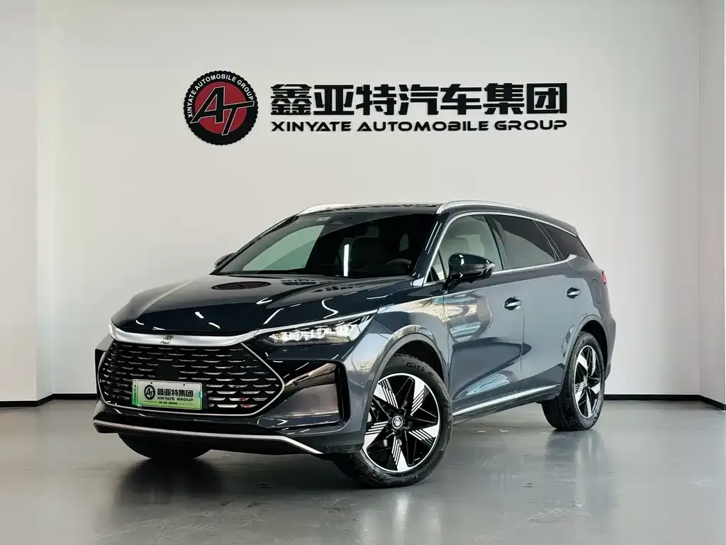 BYD Tang New Energy — фото 2