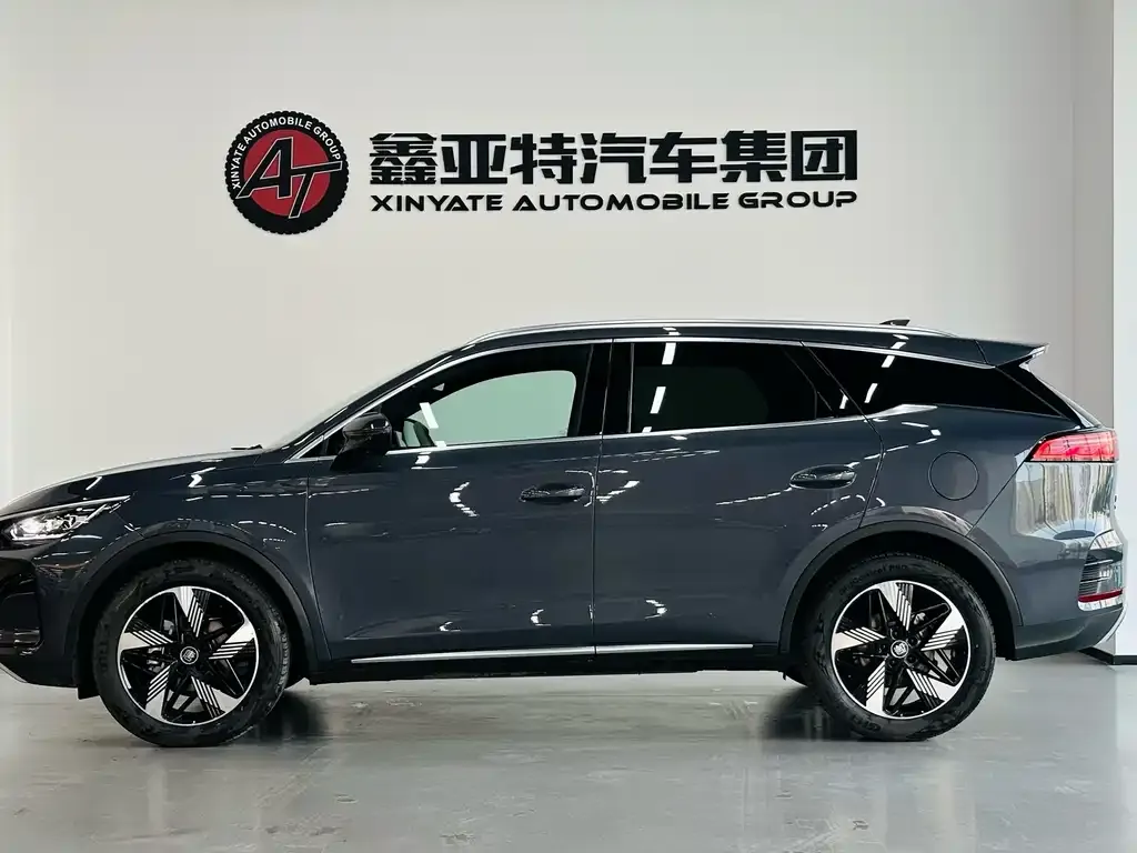 BYD Tang New Energy — фото 4