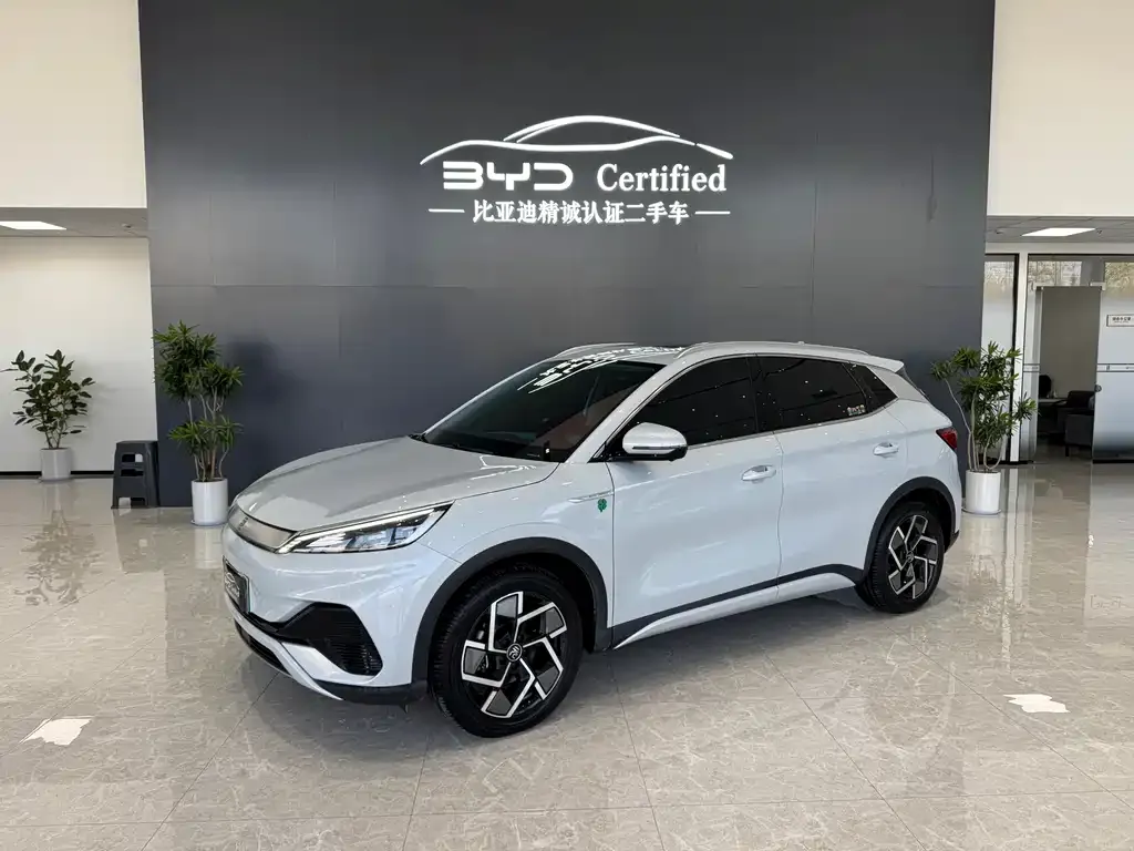 BYD Yuan Plus 2023 из CN, фото 1