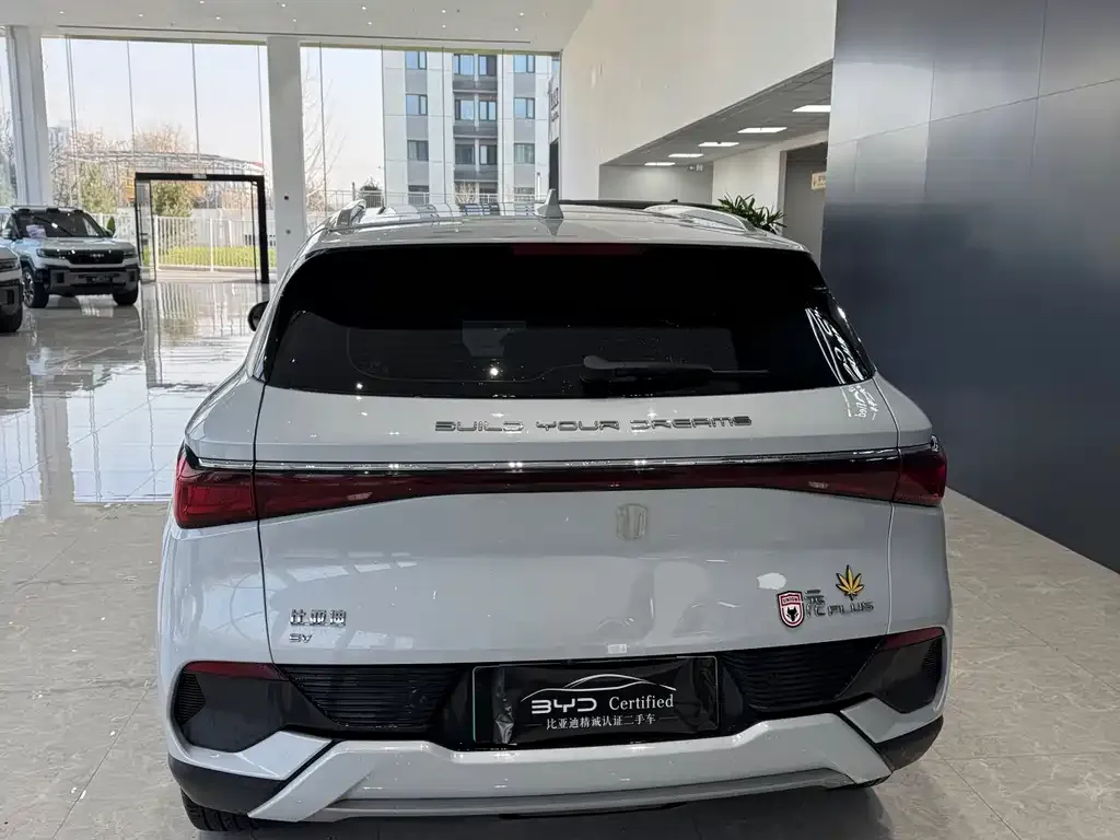 BYD Yuan Plus 2023 из CN, фото 8