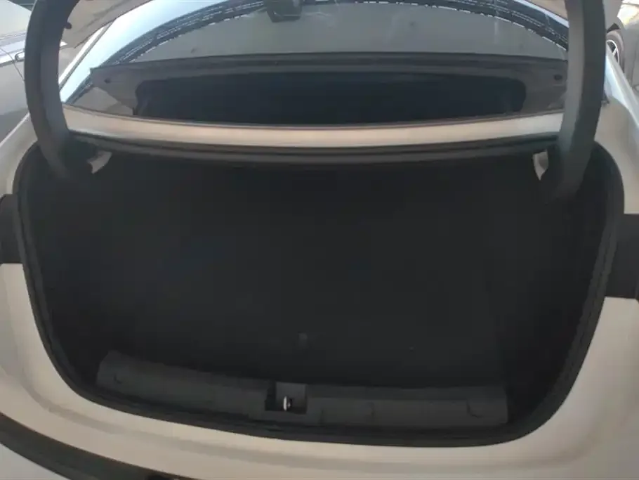 BYD Qin L 2024 из CN, фото 4