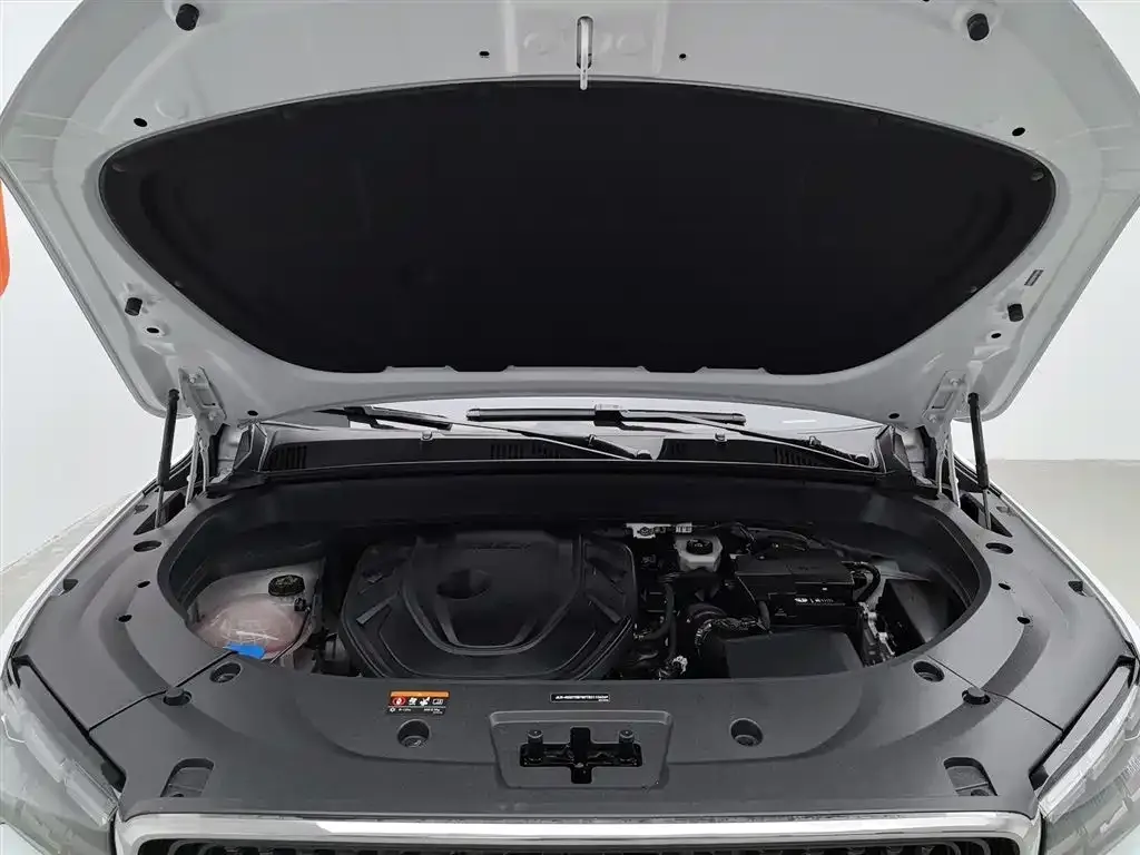 Geely Xingyue L 2021 из CN, фото 6