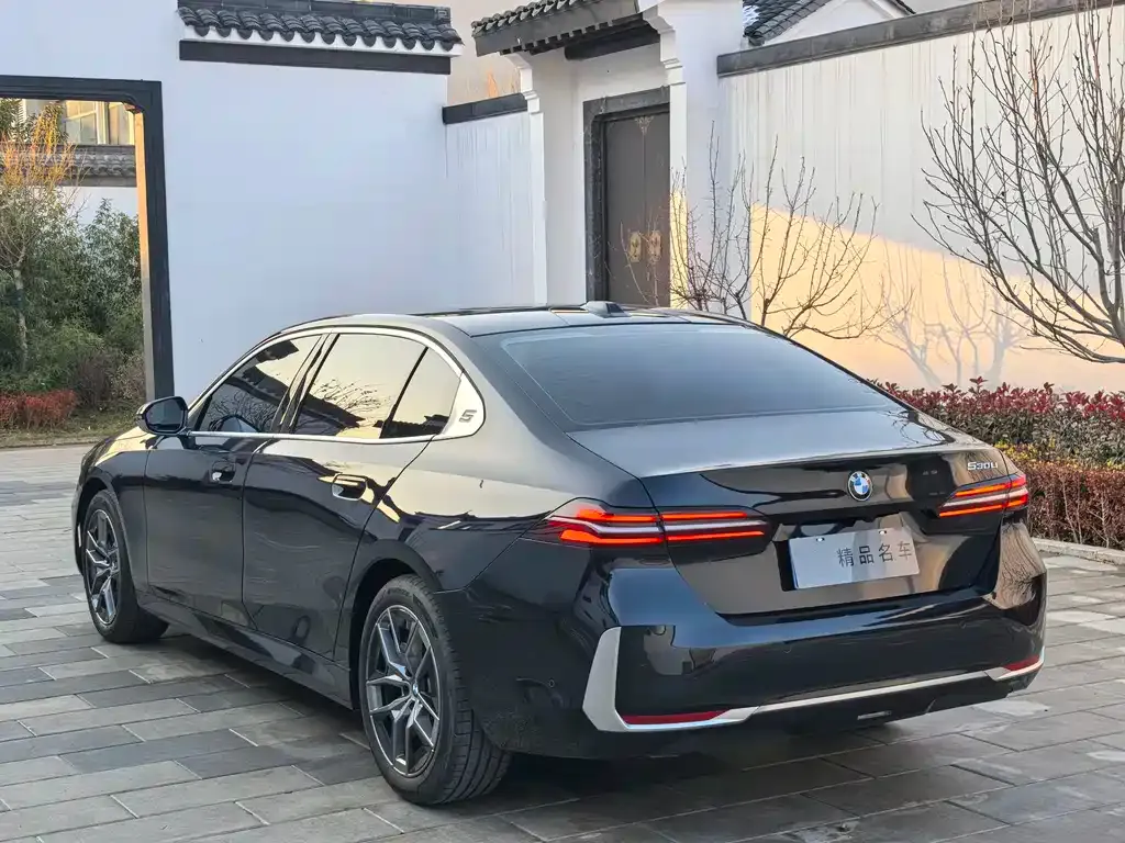 BMW 5 Series 2025 из CN, фото 3